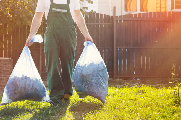 Best Yard Cleanup Services  in Lexington, NE